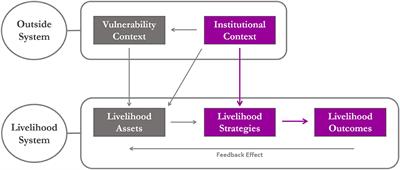 Smallholder Farmer Engagement in Citizen Science for Varietal Diversification Enhances Adaptive Capacity and Productivity in Bihar, India